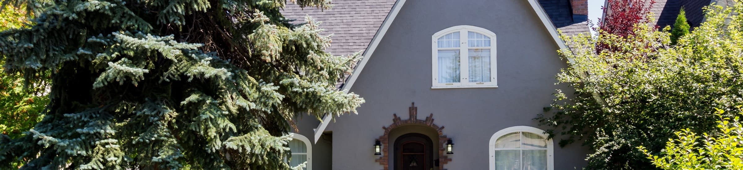 A banner image reflecting the title of the page: testimonials